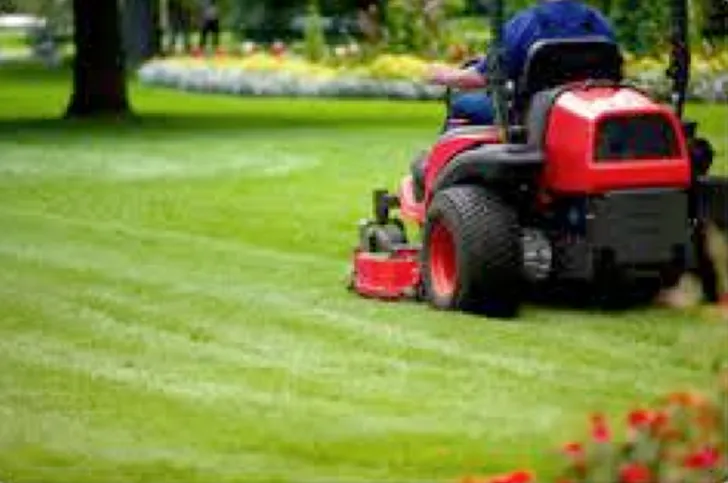 Giardinaggio 1