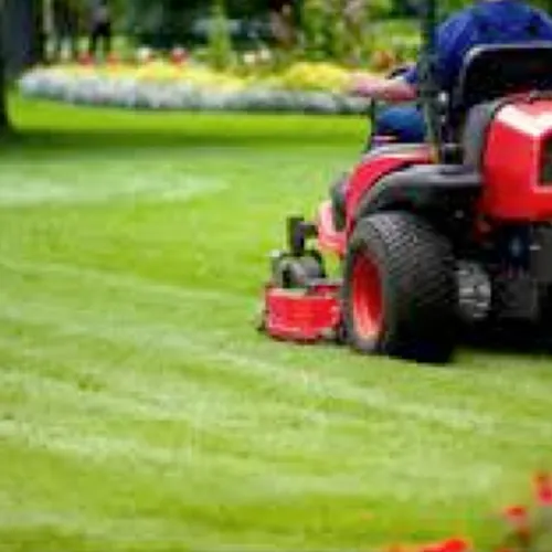 Manutenzione Aree Verdi e Giardinaggio